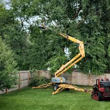 Best Lawn Maintenance Plans  in Coconut Creek, FL
