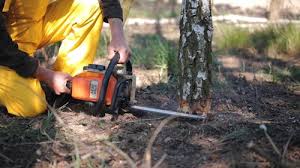 Best Tree Risk Assessment  in Coconut Creek, FL