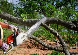 Best Lawn Watering Services  in Coconut Creek, FL