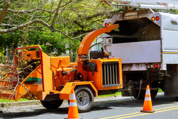 Best Soil Testing and Treatment  in Coconut Creek, FL