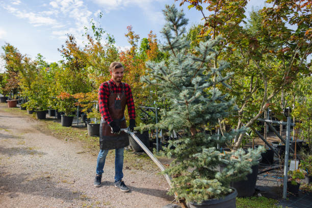 Best Tree Preservation Services  in Coconut Creek, FL